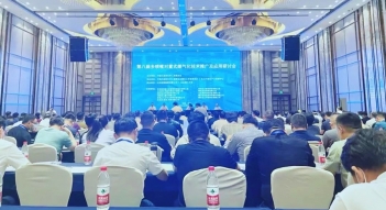 少妇AAA级久久久无码精品片