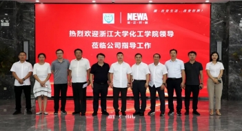少妇AAA级久久久无码精品片