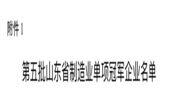 少妇AAA级久久久无码精品片