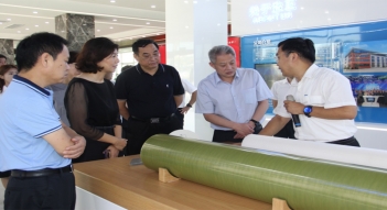 少妇AAA级久久久无码精品片
