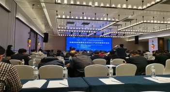 少妇AAA级久久久无码精品片