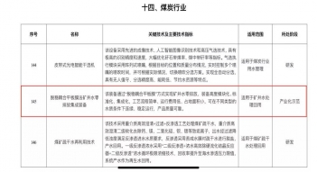 少妇AAA级久久久无码精品片