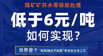 少妇AAA级久久久无码精品片