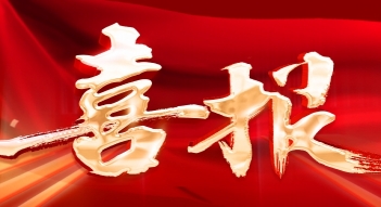少妇AAA级久久久无码精品片