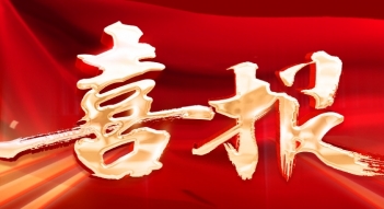 少妇AAA级久久久无码精品片