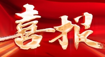少妇AAA级久久久无码精品片