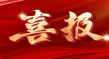 少妇AAA级久久久无码精品片